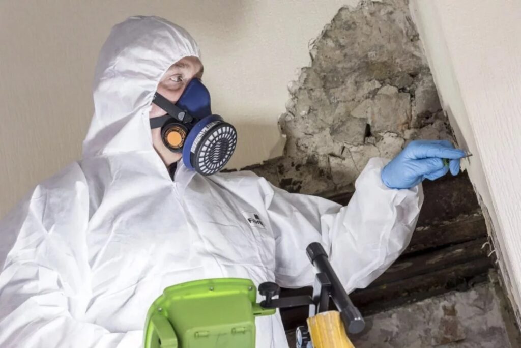 The Essential Guide to Safe Asbestos Removal