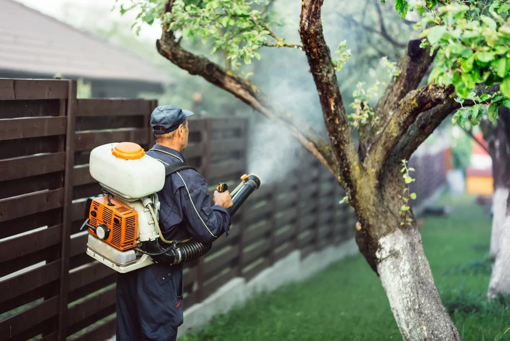 Eco-Friendly Pest Control Solutions for Modern Homes