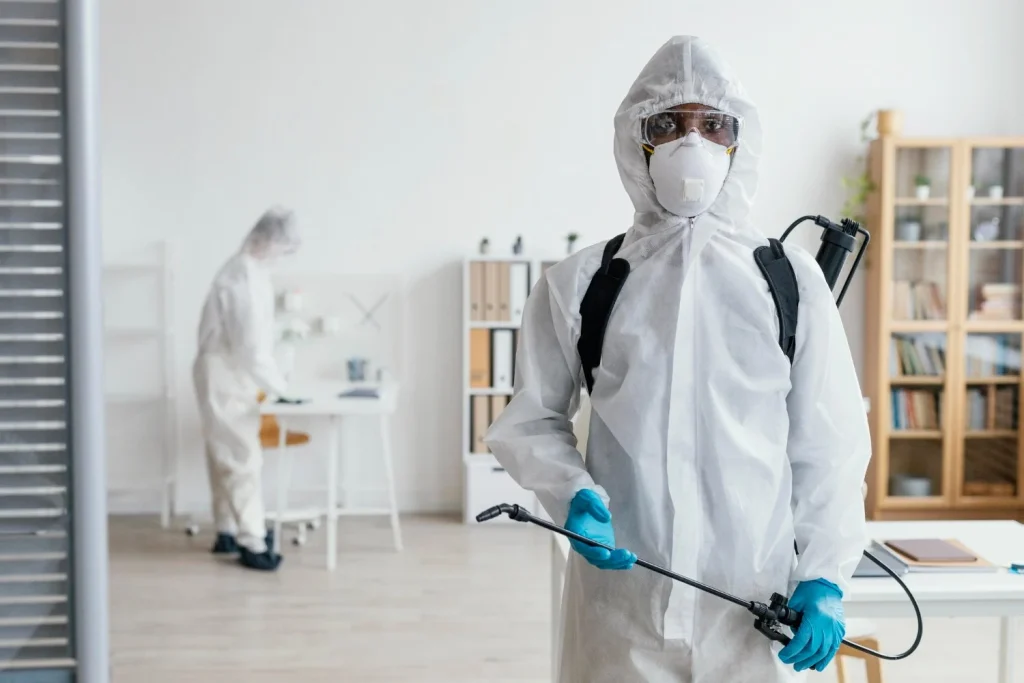 Signs Your Home Needs Professional Pest Control