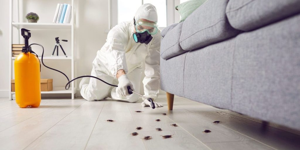 Eco-Friendly Pest Control Solutions That Really Work