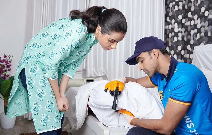 Why Regular Pest Control Protects Your Family’s Health
