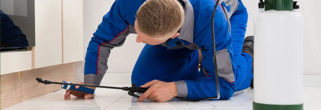 Renting or Owning Near Texas A&M? The Essential Guide to Pest Control in College Station